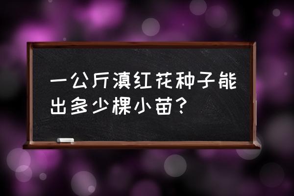 红花玉兰兰州可以种植吗 一公斤滇红花种子能出多少棵小苗？