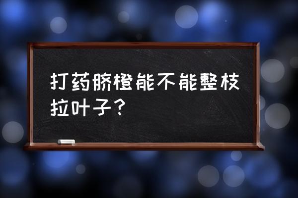 鬼针草的嫩叶能炒吃吗 打药脐橙能不能整枝拉叶子？