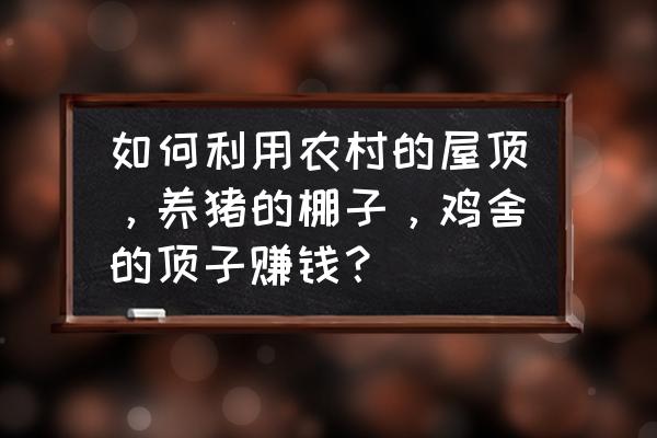 怎样养猪最赚钱 如何利用农村的屋顶，养猪的棚子，鸡舍的顶子赚钱？