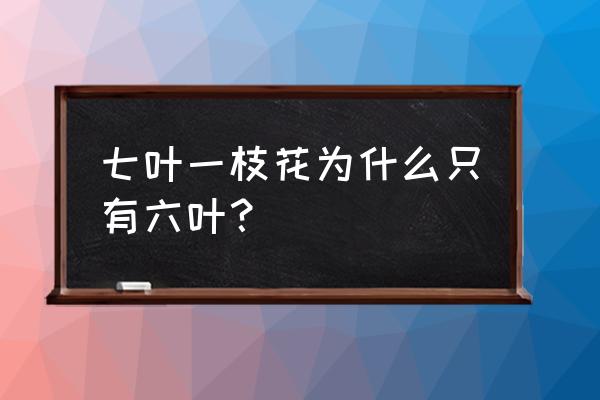 七叶一枝花图片和功效 七叶一枝花为什么只有六叶？