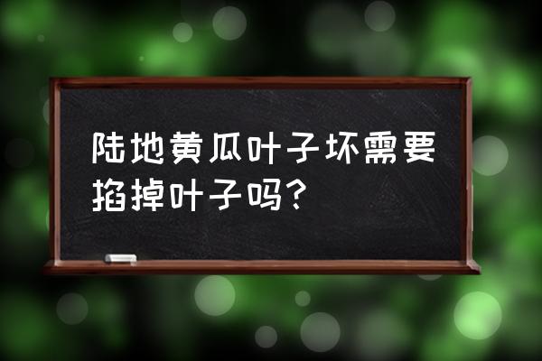 黄瓜苗叶子发黄烂叶怎么补救 陆地黄瓜叶子坏需要掐掉叶子吗？