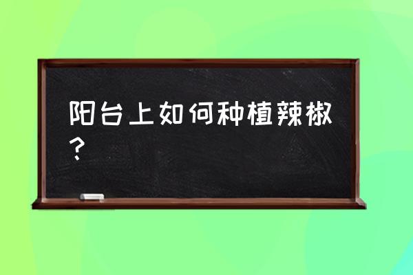 家庭种辣椒的方法和步骤 阳台上如何种植辣椒？