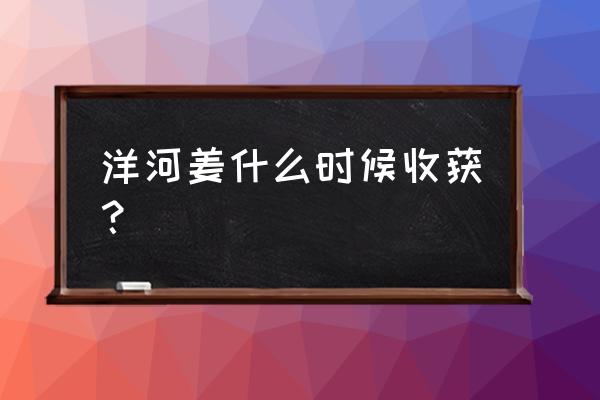 收获老姜的最佳时间 洋河姜什么时候收获？