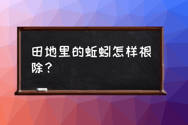 改良土壤方案需要解决的难题 田地里的蚯蚓怎样根除？