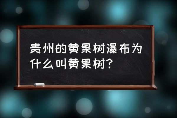 模拟人生3 双子溪哪块地好 贵州的黄果树瀑布为什么叫黄果树？