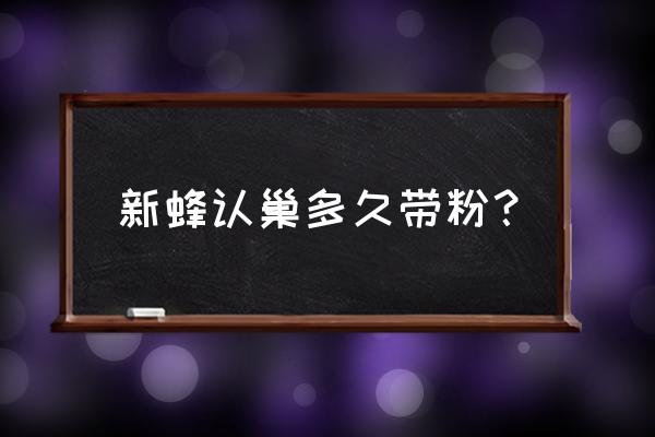 新蜂群多少时间稳定 新蜂认巢多久带粉？