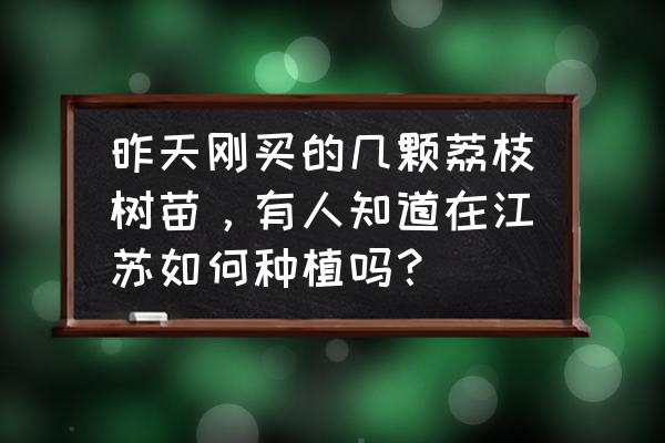 荔枝种植的正确方法 昨天刚买的几颗荔枝树苗，有人知道在江苏如何种植吗？