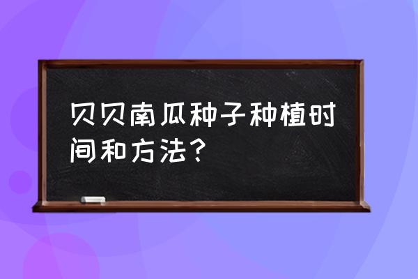 面瓜的种植育苗需要多少天 贝贝南瓜种子种植时间和方法？