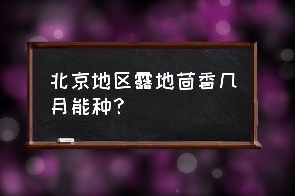 露地茴香怎样种才能粗壮 北京地区露地茴香几月能种？