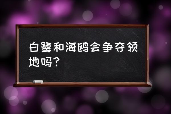 城市里的海鸥夜晚栖息的地方 白鹭和海鸥会争夺领地吗？