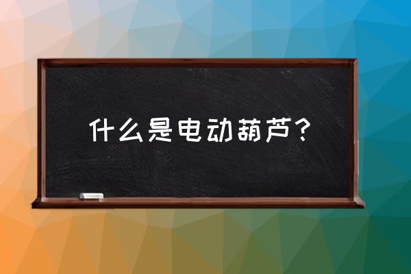 电动葫芦规格型号怎么写 什么是电动葫芦？