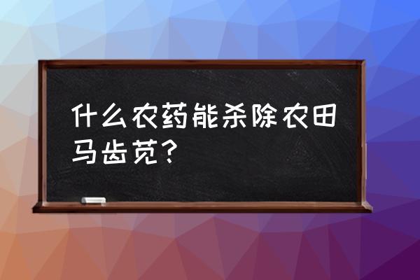 喷雾器最远的喷头 什么农药能杀除农田马齿苋？