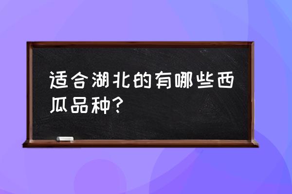 西瓜品种排行榜前十名 适合湖北的有哪些西瓜品种？