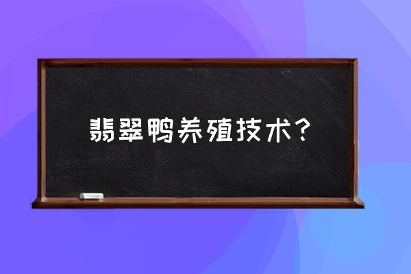 养鸭苗成活率高的方法 翡翠鸭养殖技术？