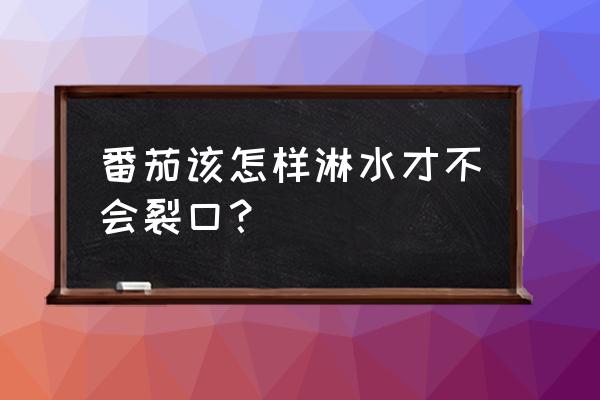 西红柿防裂果最佳方法 番茄该怎样淋水才不会裂口？