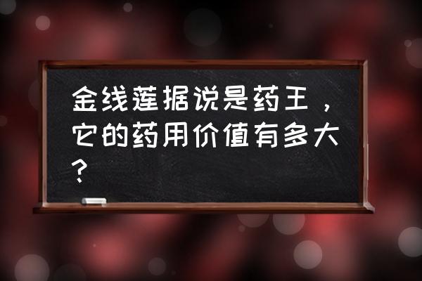 太子参多少钱一斤 金线莲据说是药王，它的药用价值有多大？