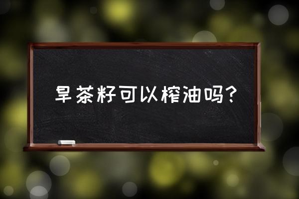 茶树上面的茶籽有什么用 旱茶籽可以榨油吗？