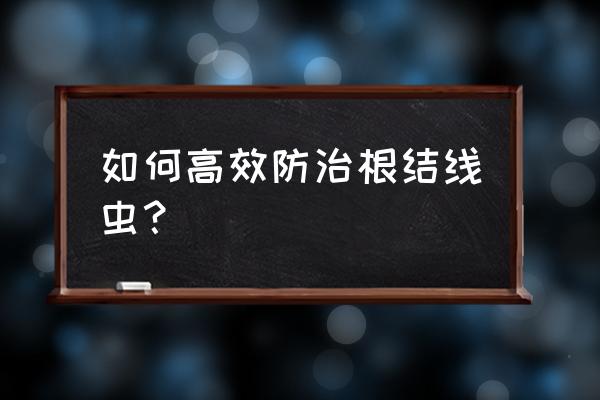 根线虫消灭绝招 如何高效防治根结线虫？