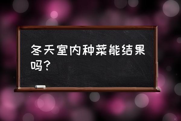 家种西红柿冬天能结果吗 冬天室内种菜能结果吗？