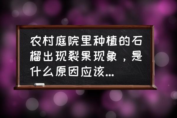 石榴树结果后烂果怎么办 农村庭院里种植的石榴出现裂果现象，是什么原因应该如何防治？