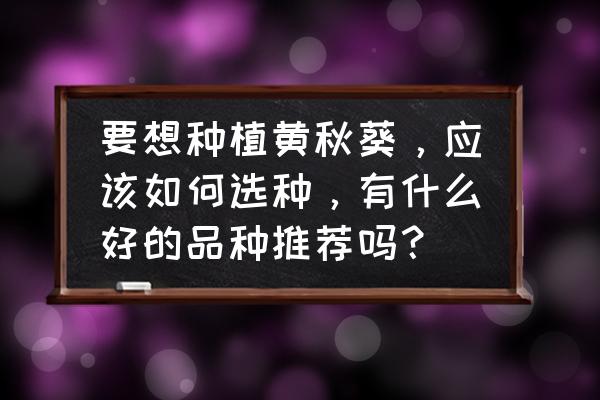 圆叶锦葵怎么种植 要想种植黄秋葵，应该如何选种，有什么好的品种推荐吗？