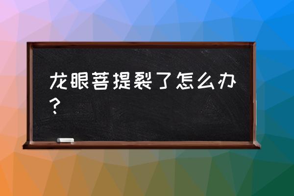 龙眼菩提是扁的还是圆的 龙眼菩提裂了怎么办？