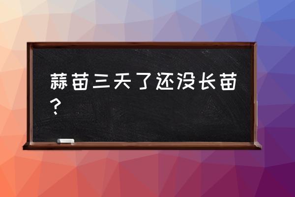 连续阴雨天对大蒜的影响 蒜苗三天了还没长苗？