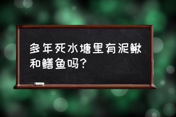 黄鳝对水质的要求高吗 多年死水塘里有泥鳅和鳝鱼吗？