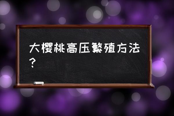 车厘子的种子可以直接育苗吗 大樱桃高压繁殖方法？