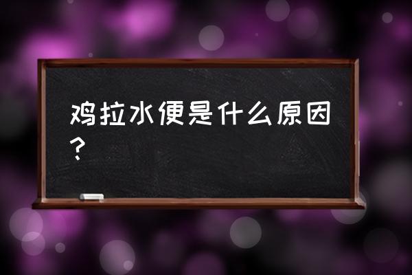 小鸡拉稀最简单的方法 鸡拉水便是什么原因？