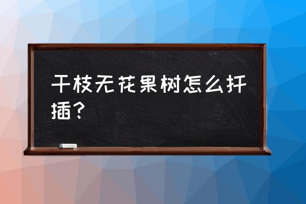 无花果树扦插的正确方法 干枝无花果树怎么扦插？