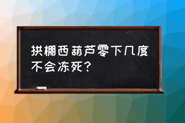 小拱棚西葫芦栽培技术与产量 拱棚西葫芦零下几度不会冻死？