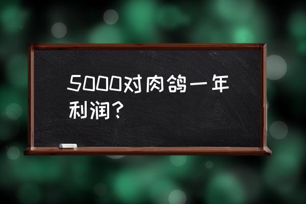 养200对肉鸽一年有利润 5000对肉鸽一年利润？