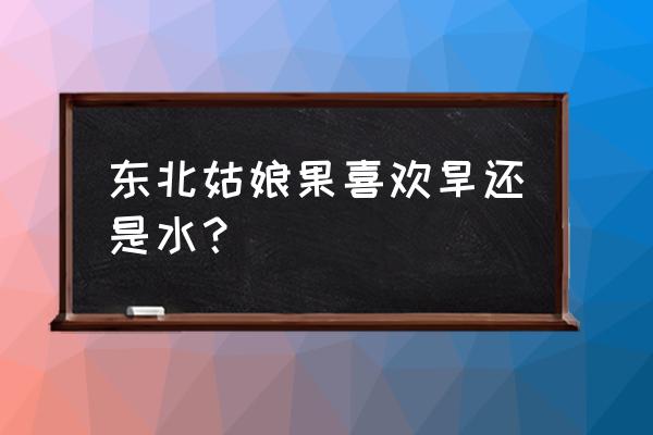 姑娘果适合在哪种植 东北姑娘果喜欢旱还是水？