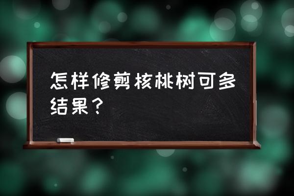 核桃树为何不结果修剪绝招 怎样修剪核桃树可多结果？