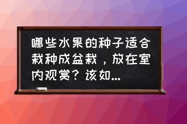 柚子种子怎么做盆栽 哪些水果的种子适合栽种成盆栽，放在室内观赏？该如何养护？