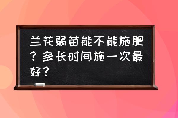 菜籽饼没有发酵放在树根上 兰花弱苗能不能施肥？多长时间施一次最好？